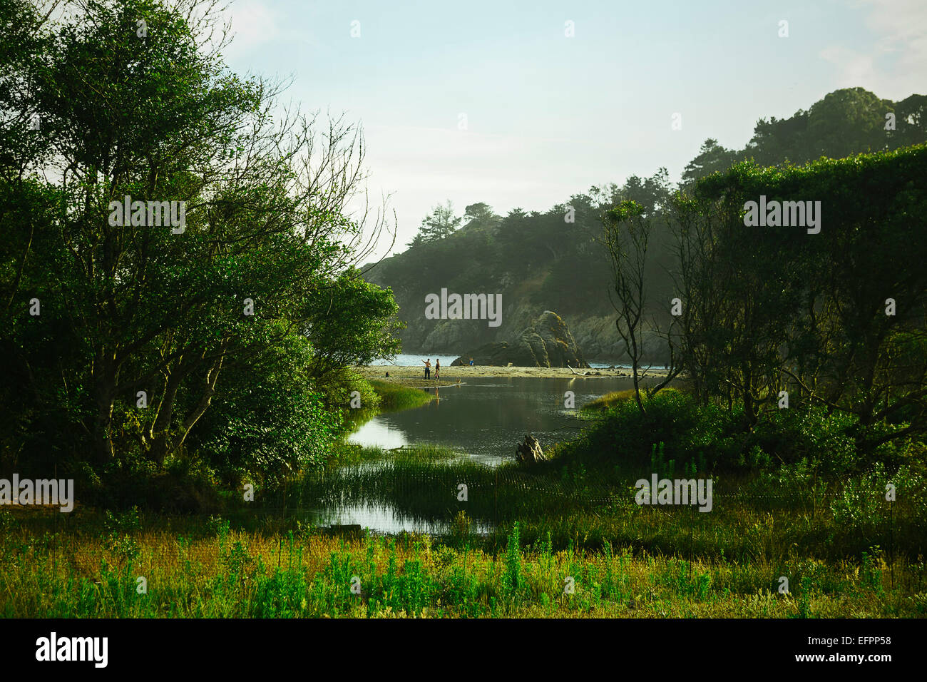 Vue éloignée de Lakeside, Mill Valley, comté de Marin, en Californie, USA Banque D'Images