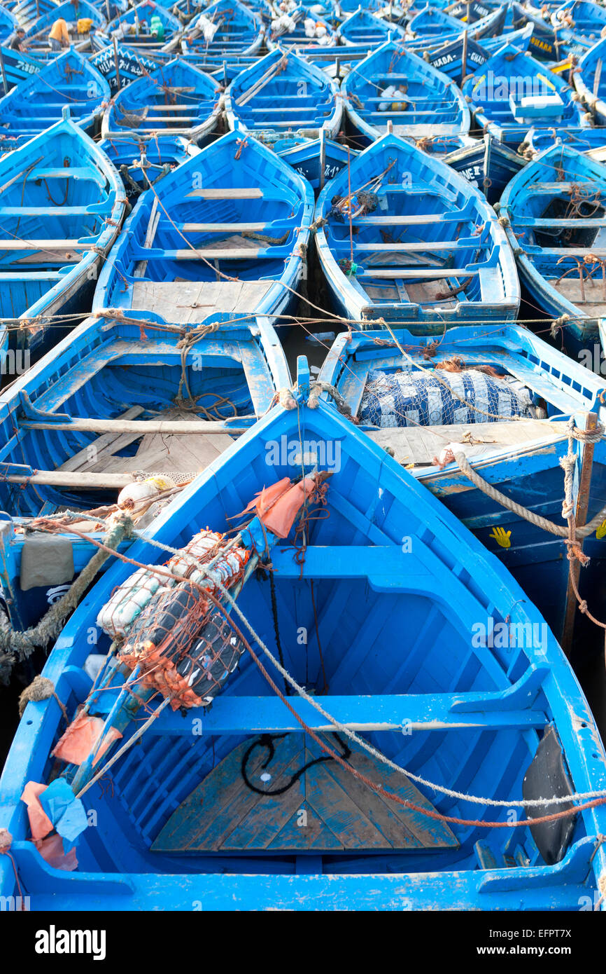Rangées de bateaux de pêche bleu ancrée sur waterfront, Essaouira, Maroc Banque D'Images