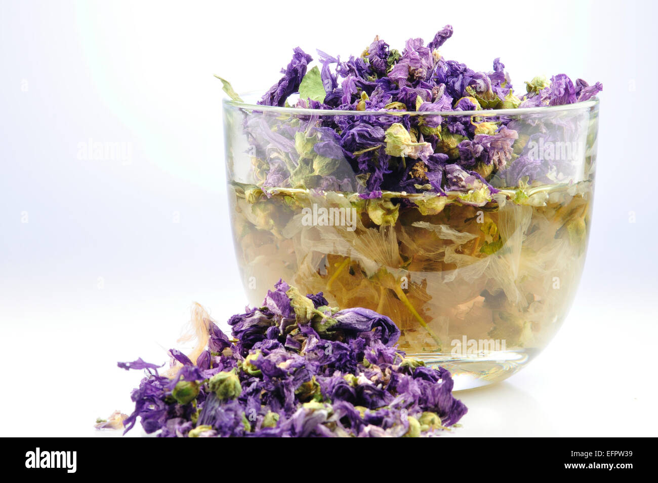 Fleurs mauve séchées Infusion aux herbes Banque D'Images