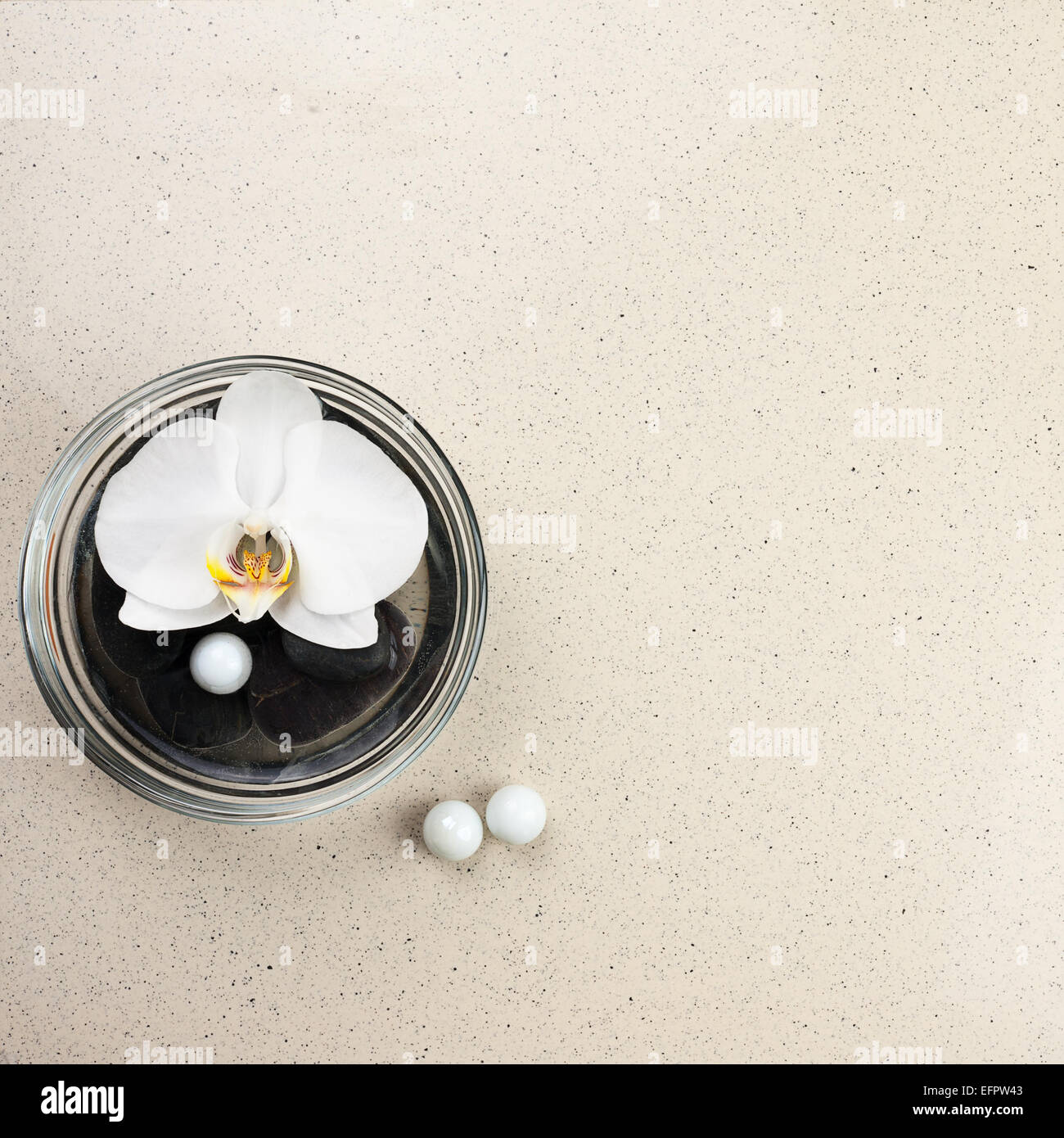 White Orchid flower vase en verre avec de l'eau et des pierres sur fond beige. Banque D'Images