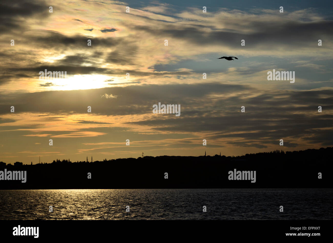 Silhouette d'Istanbul pendant le coucher du soleil avec flying seagull. Banque D'Images