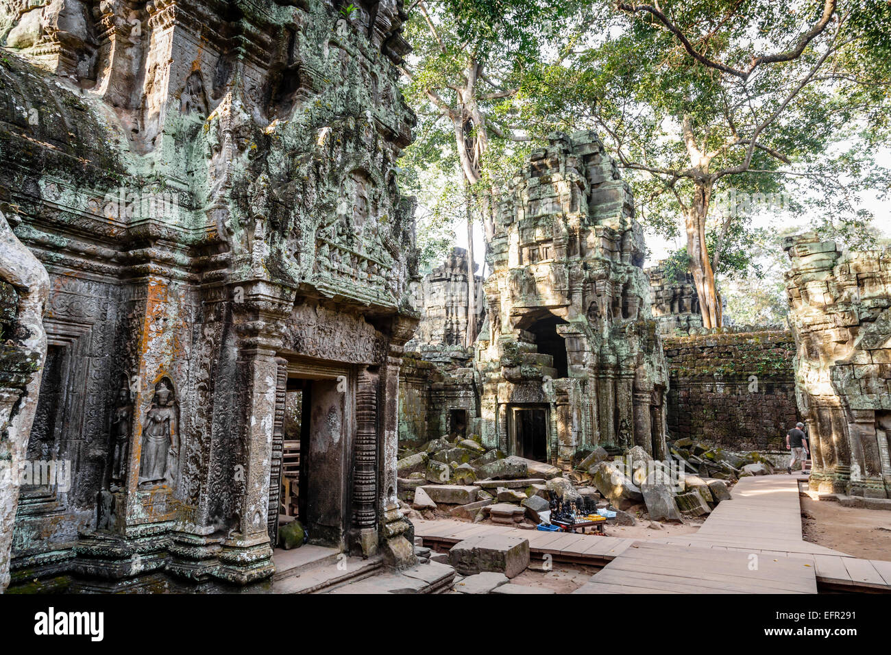 Ruines du Temple Ta Prohm, Angkor, au Cambodge. Banque D'Images