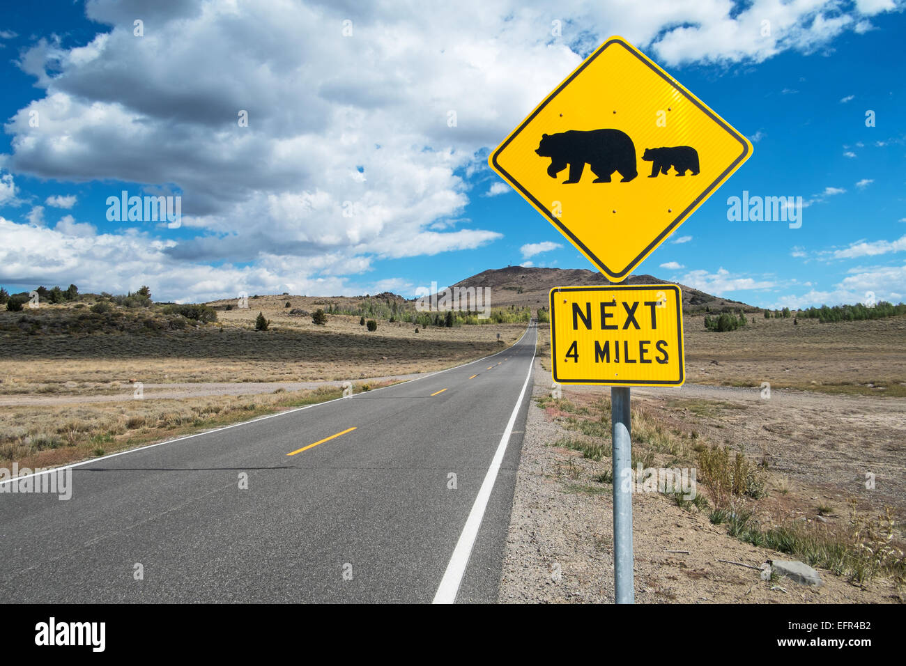 Panneau d'avertissement de l'ours sur la route, comté d'Alpine, California, USA Banque D'Images