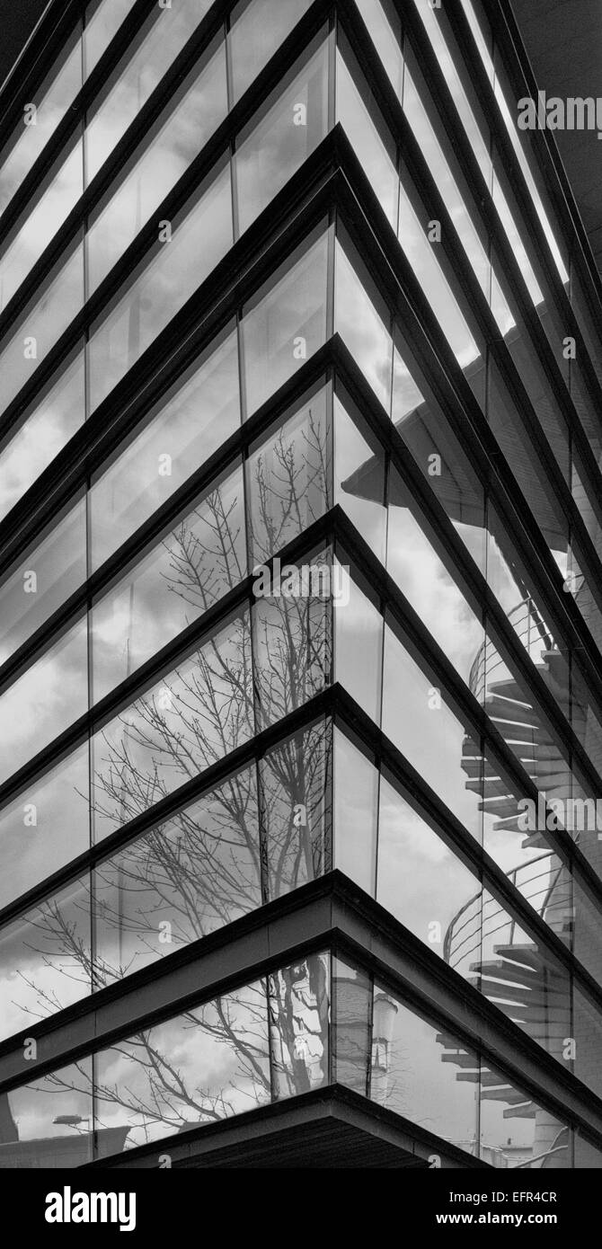 Photo en noir et blanc montrant un coin de façade en verre avec des reflets de nuages, arbres et en colimaçon Banque D'Images