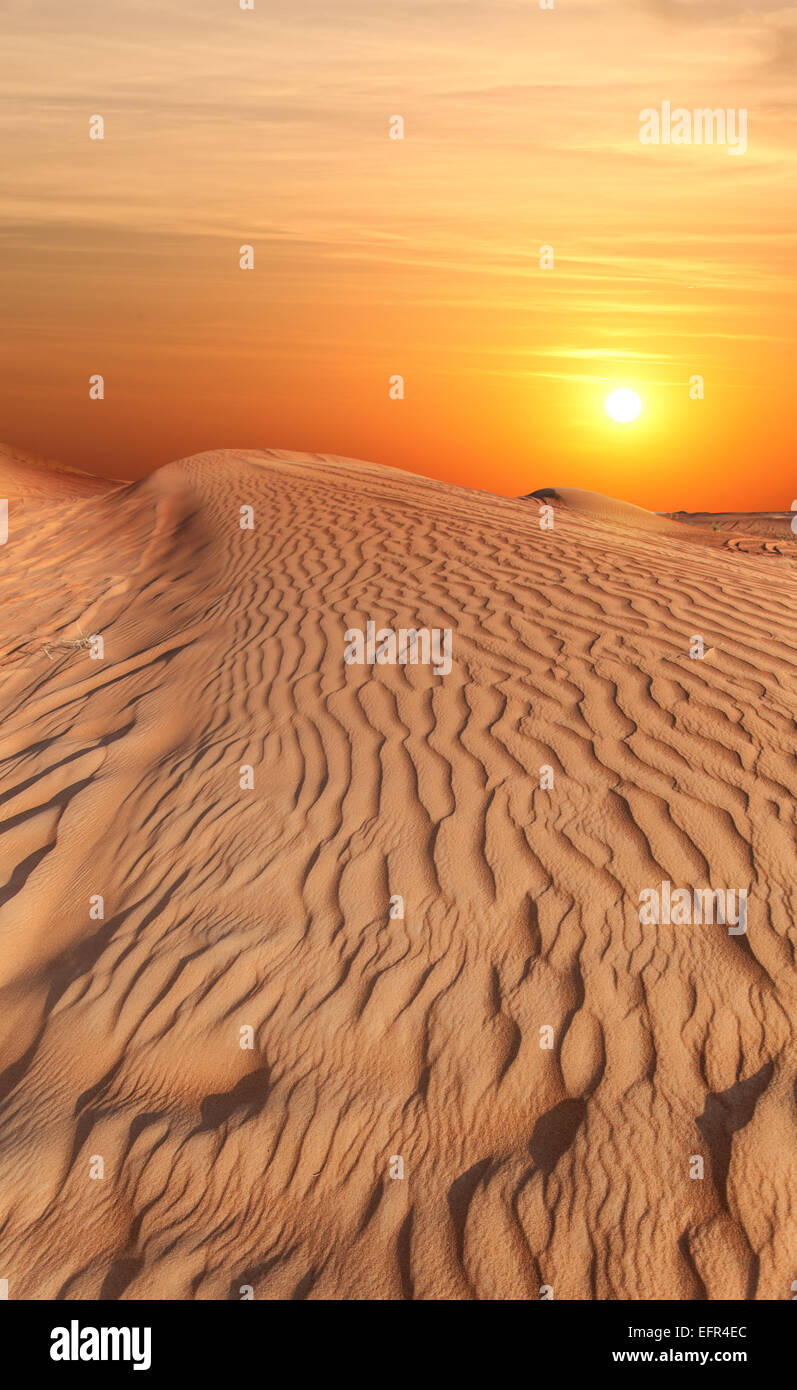 Coucher du soleil dans le désert. Banque D'Images