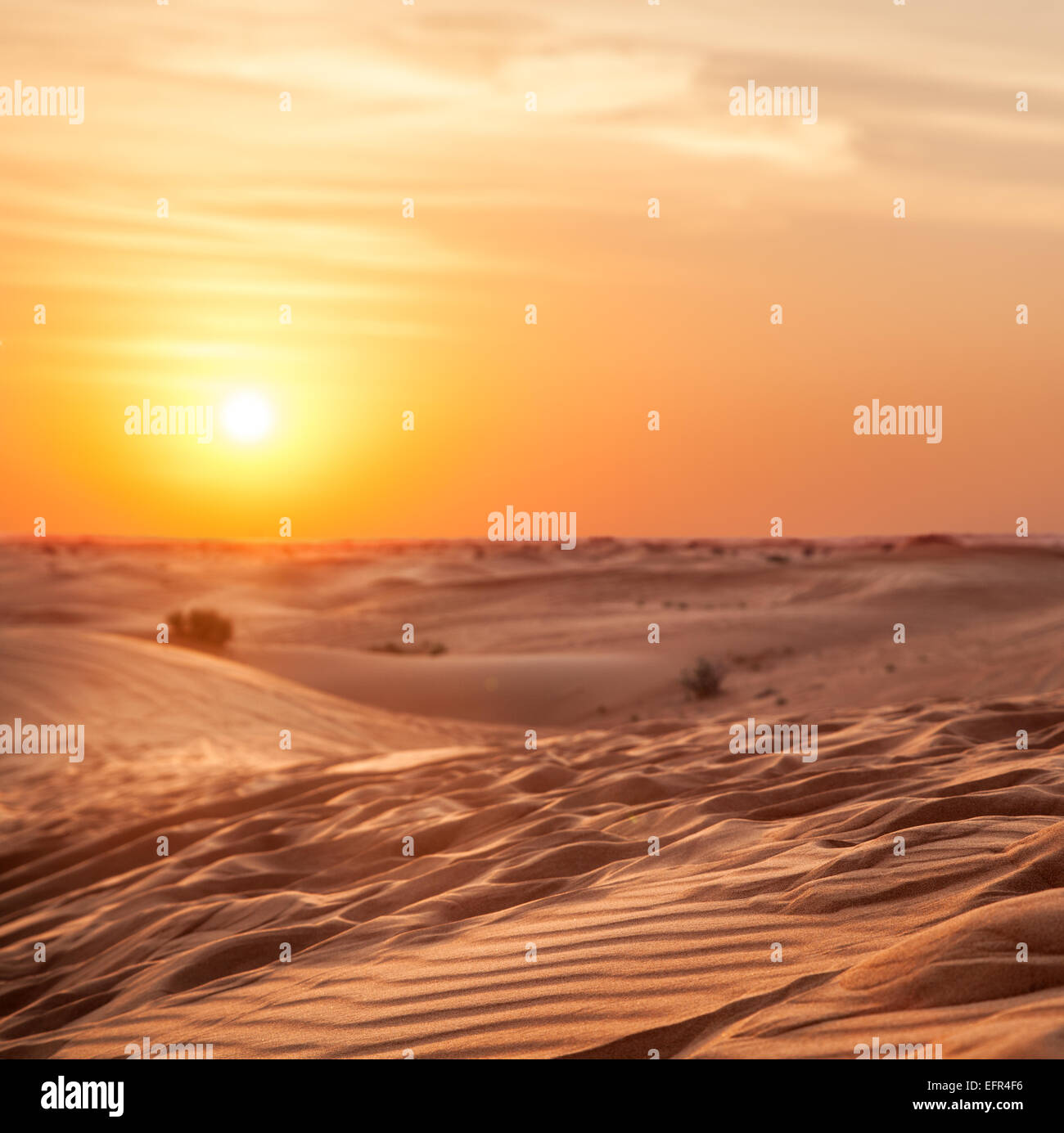 Coucher du soleil dans le désert. Banque D'Images