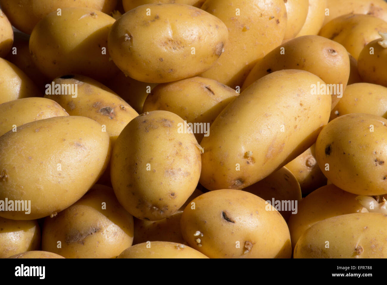 Des pommes de terre non pelées Shot Banque D'Images