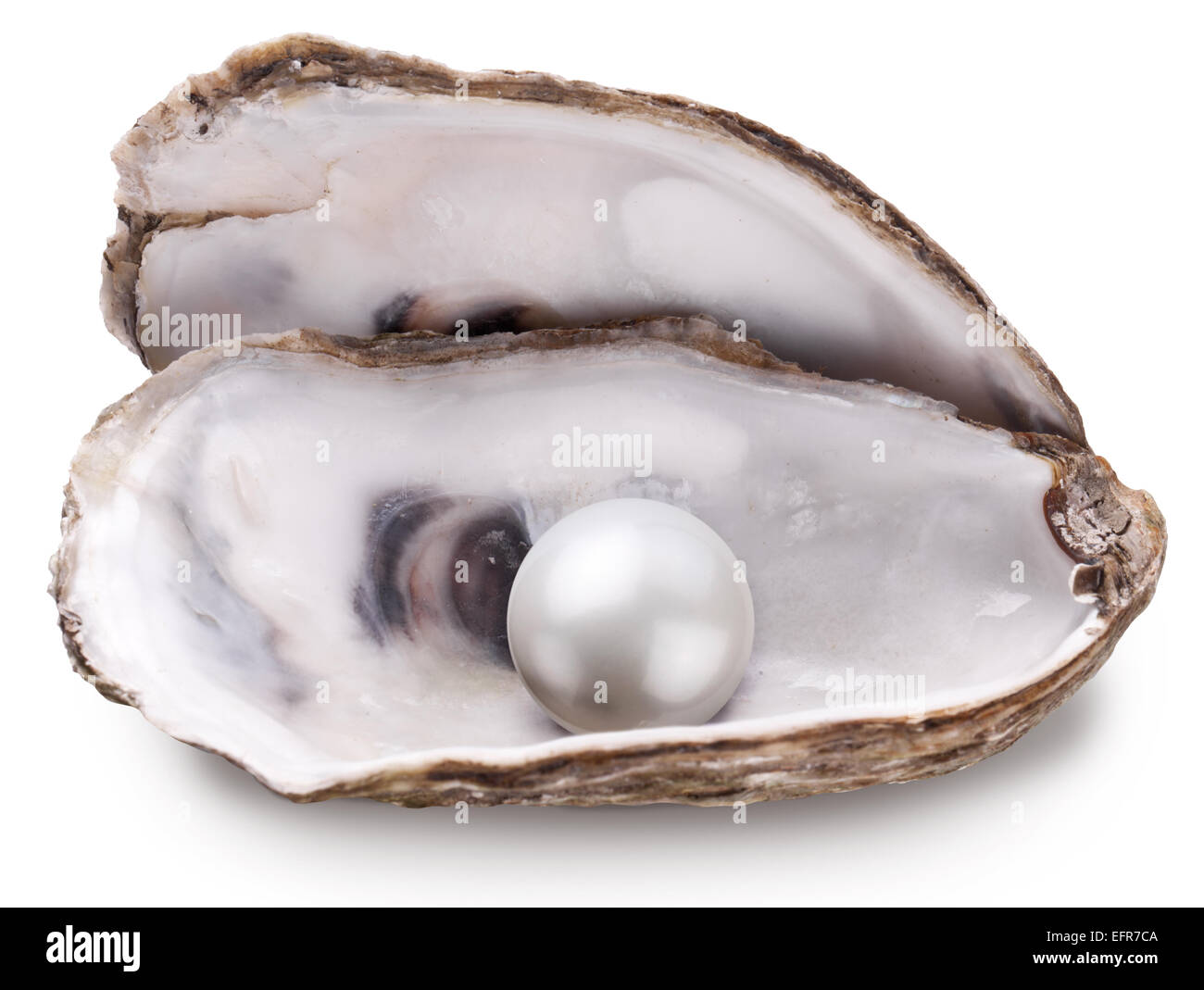 L'huître ouverte avec pearl isolé sur fond blanc. Banque D'Images