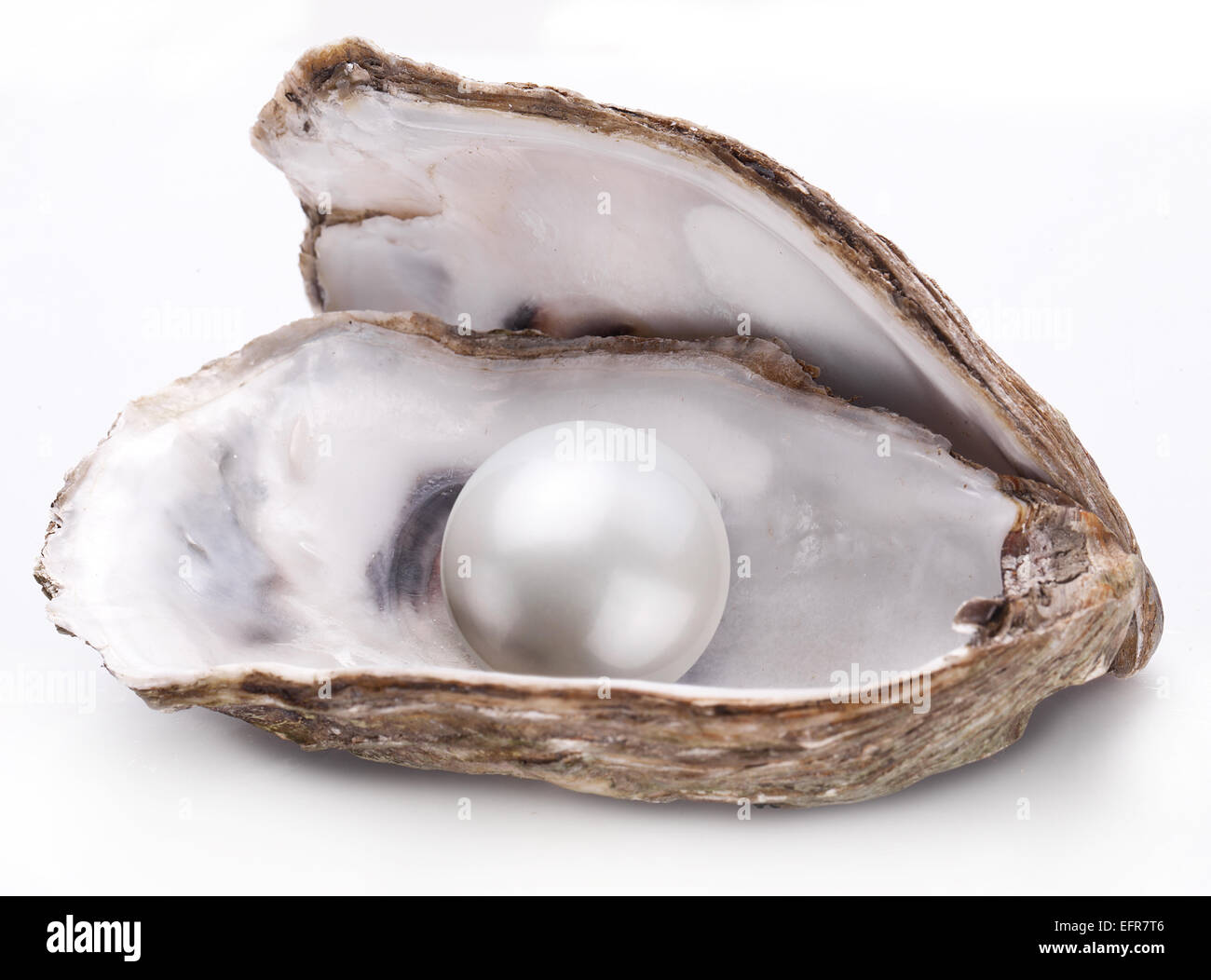 L'huître ouverte avec pearl isolé sur fond blanc. Banque D'Images