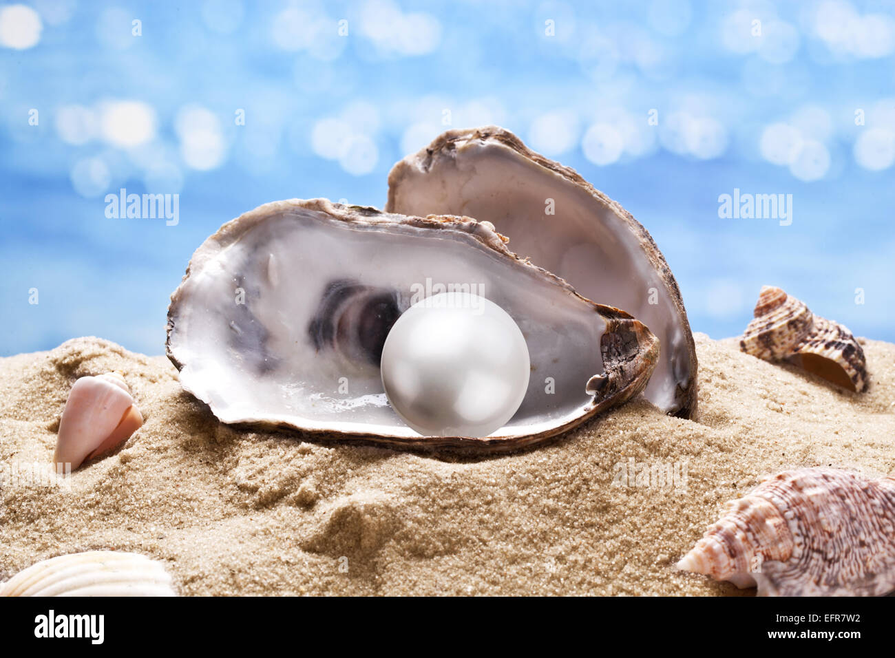 Shell avec une perle sur une mer de sable. Banque D'Images