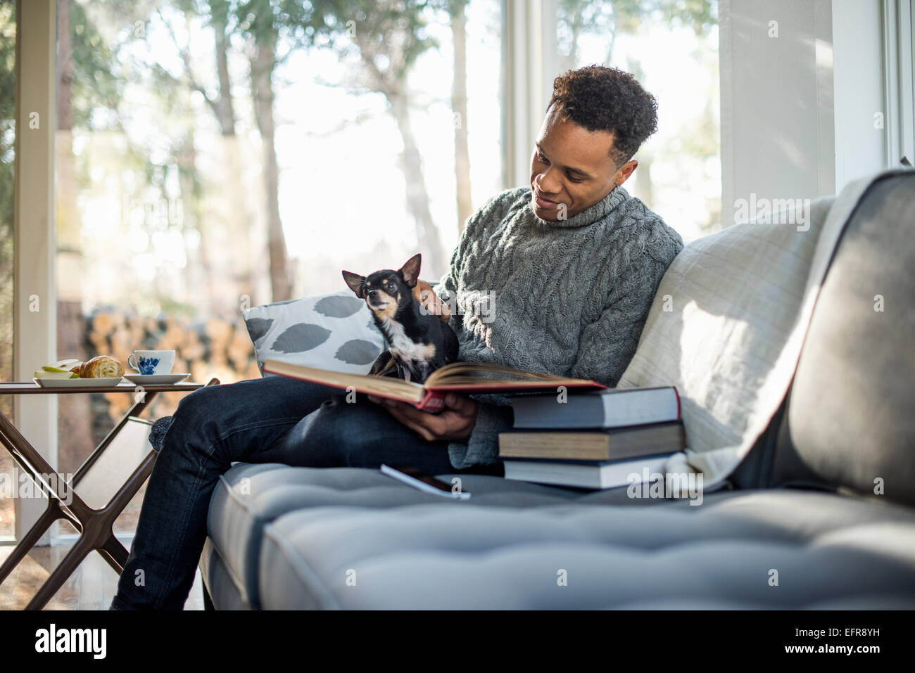 Un homme portant un rouleau gris-neck jumper assis sur un canapé avec un chien sur ses genoux, en regardant un livre. Banque D'Images