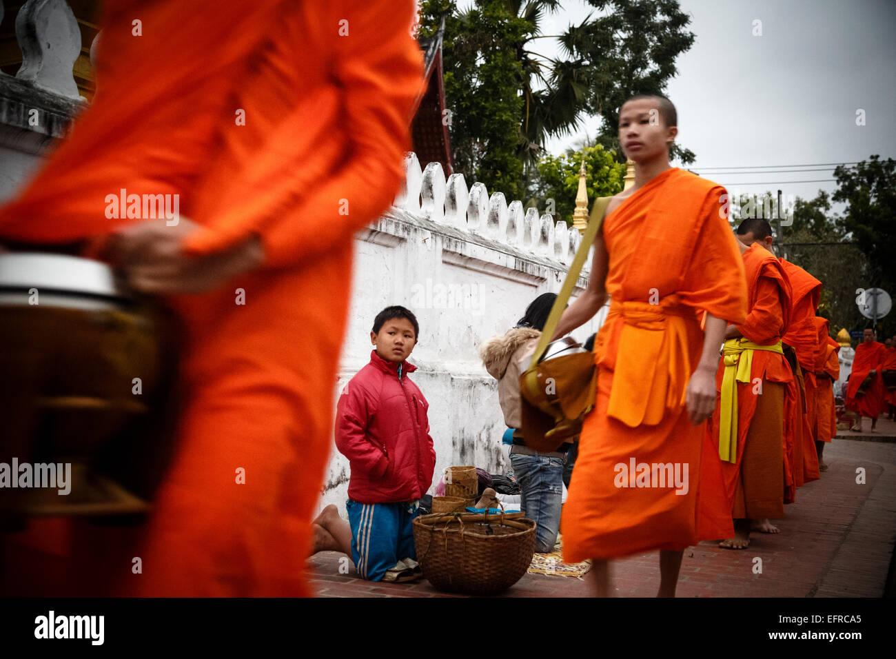 La collecte de l'aumône des moines au lever du soleil, Luang Prabang, Laos. Banque D'Images