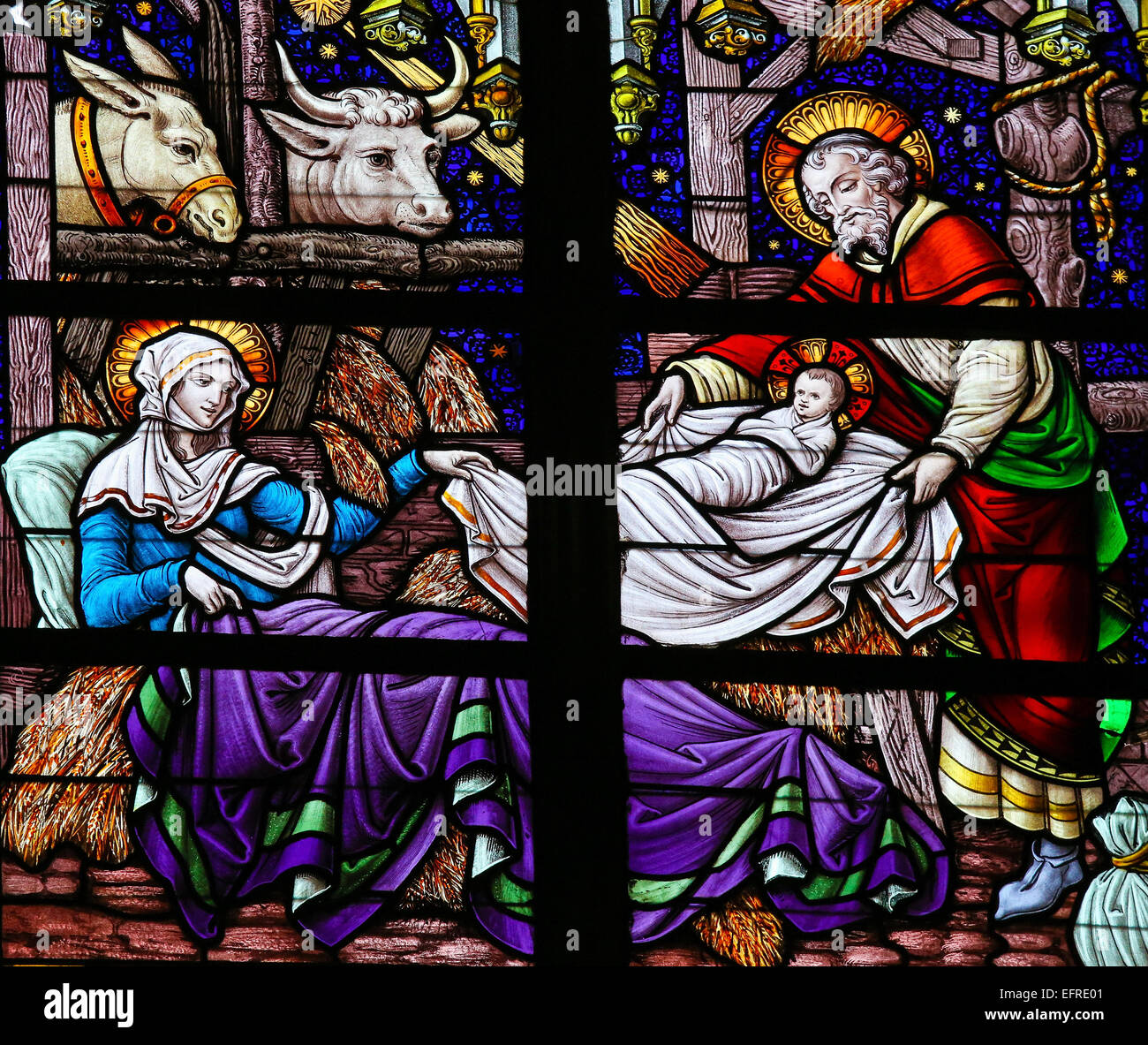 Vitrail représentant une scène de la Nativité à Noël dans la Cathédrale de Saint Rumbold à Mechelen, Belgique. Banque D'Images