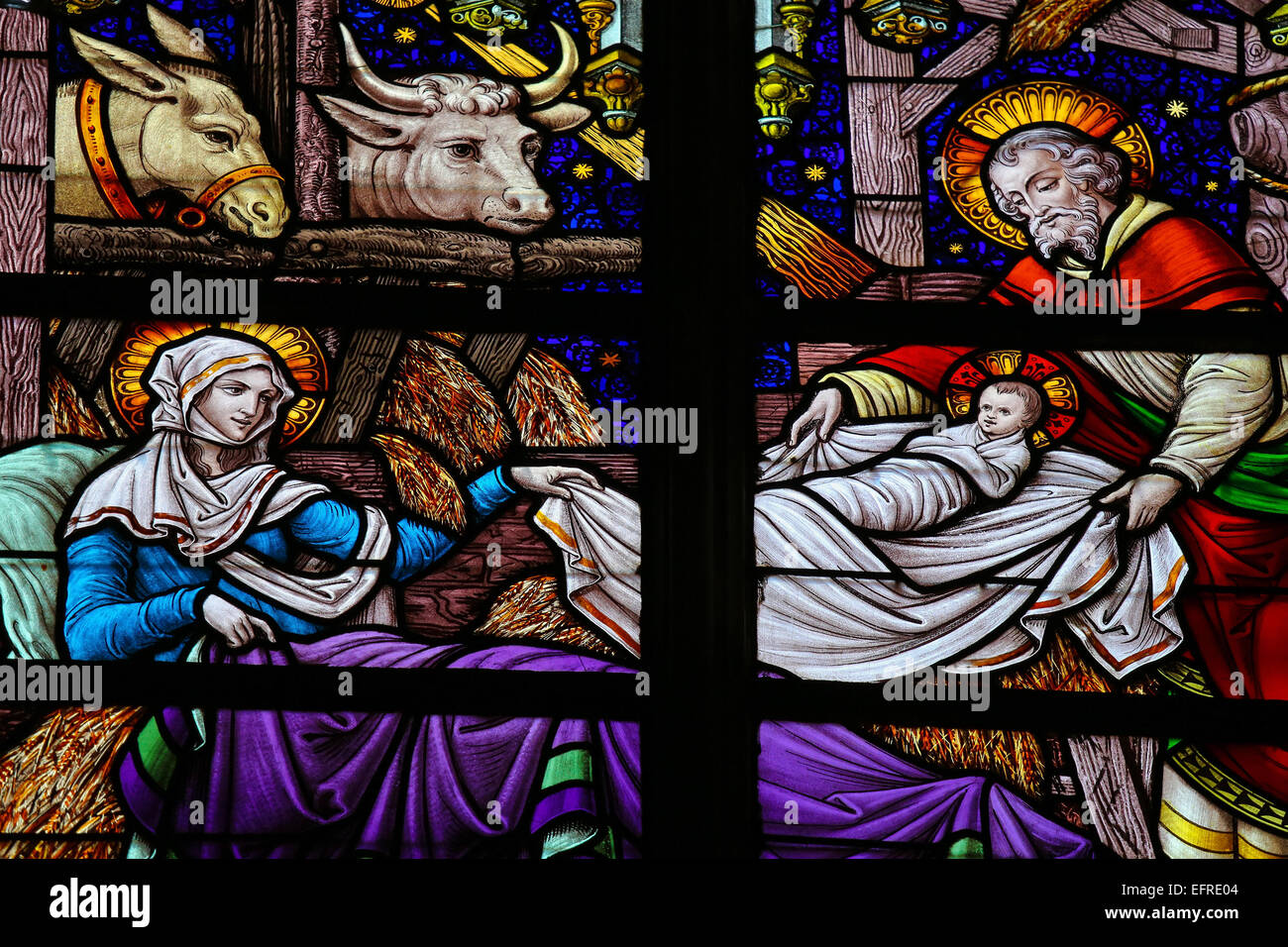 Vitrail représentant une scène de la Nativité à Noël dans la Cathédrale de Saint Rumbold à Mechelen, Belgique. Banque D'Images