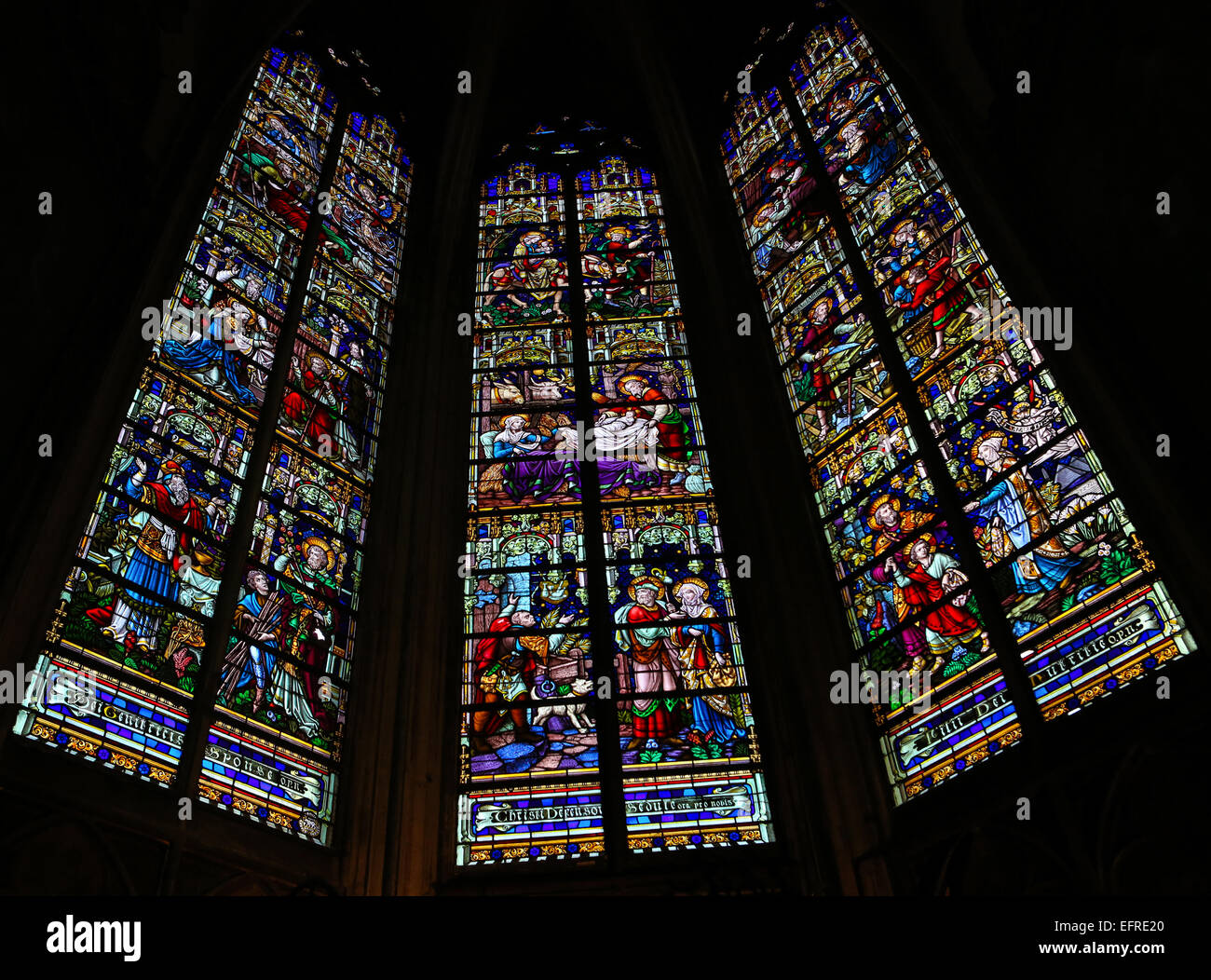 Vitrail représentant la vie de Joseph dans la Cathédrale de Saint Rumbold à Mechelen, Belgique. Banque D'Images