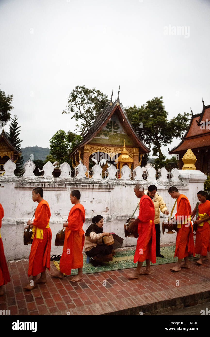La collecte de l'aumône des moines au lever du soleil, Luang Prabang, Laos. Banque D'Images