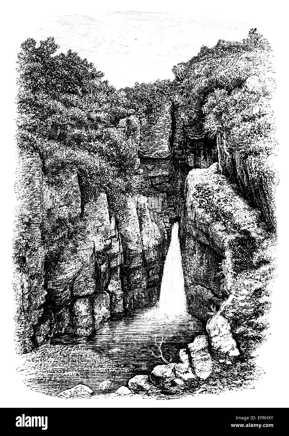 Photographié à partir d'un livre intitulé 'English Photos tirées avec stylo et crayon" publié à Londres ca. 1870. Banque D'Images