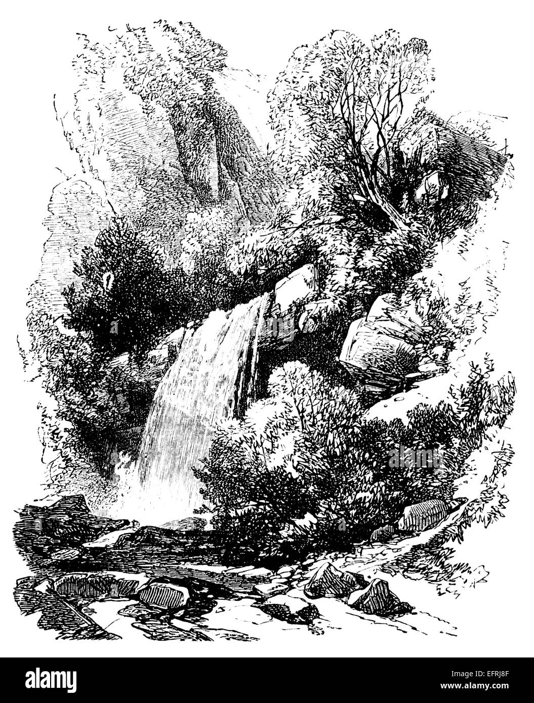 Photographié à partir d'un livre intitulé 'English Photos tirées avec stylo et crayon" publié à Londres ca. 1870. Banque D'Images