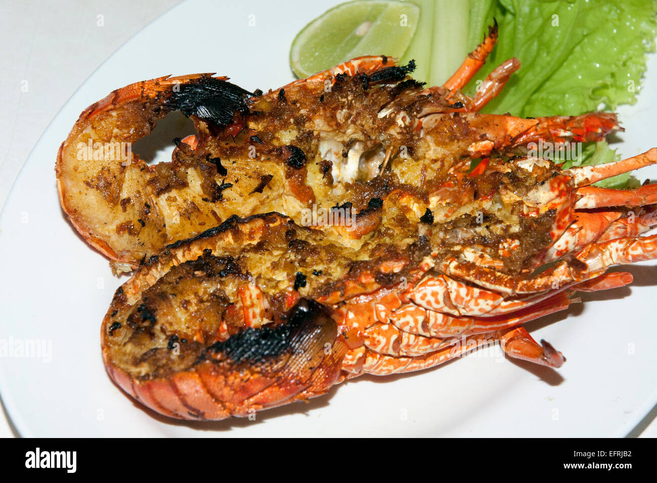 Homard grillé Banque D'Images