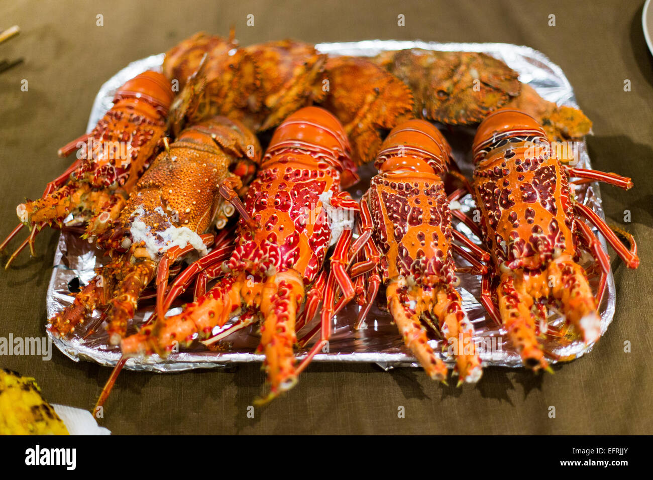 Homards bouillis Banque D'Images