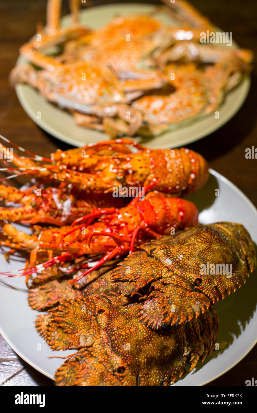 Les homards et les crabes durs Banque D'Images