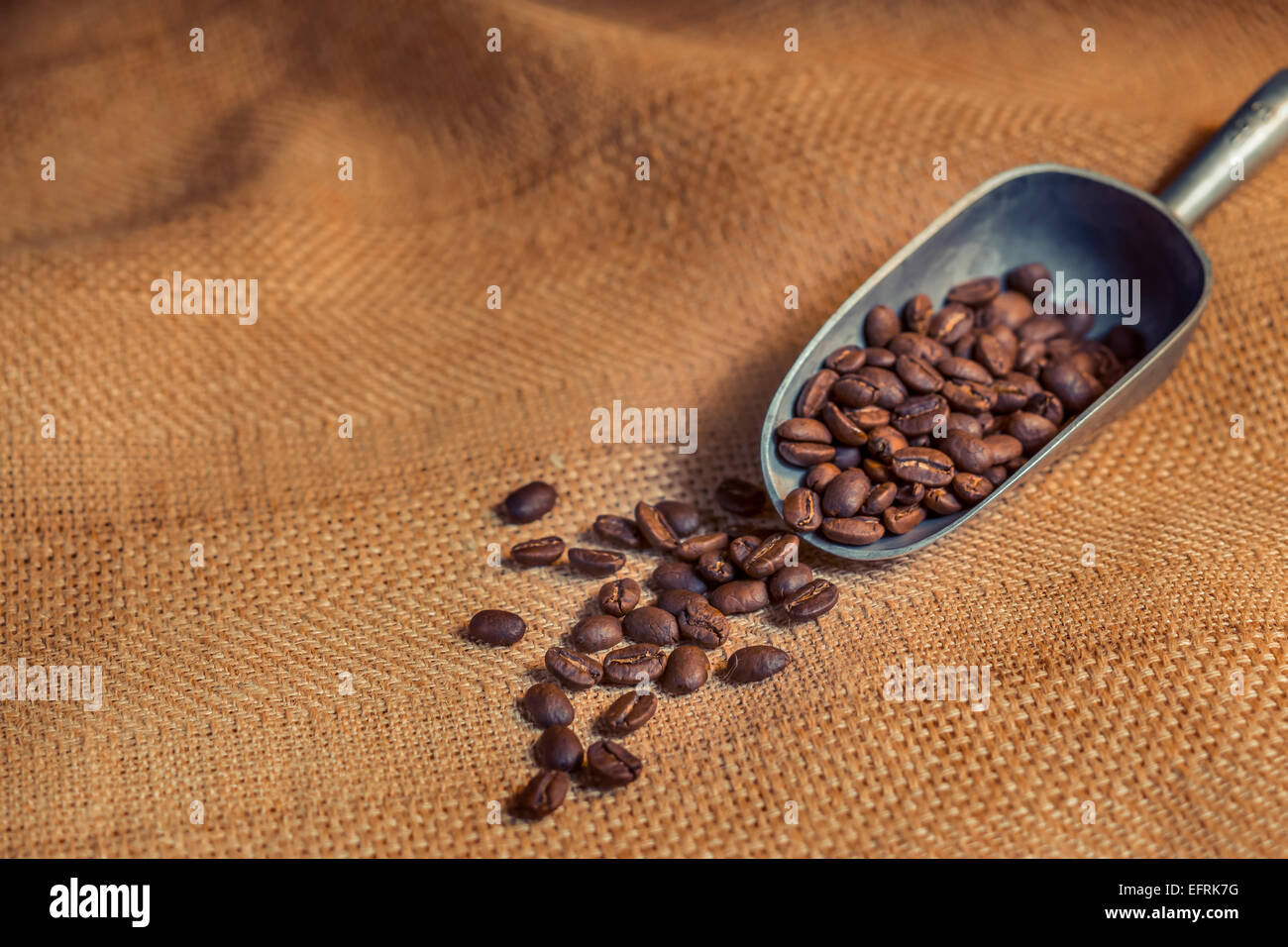 Les grains de café torréfié Banque D'Images