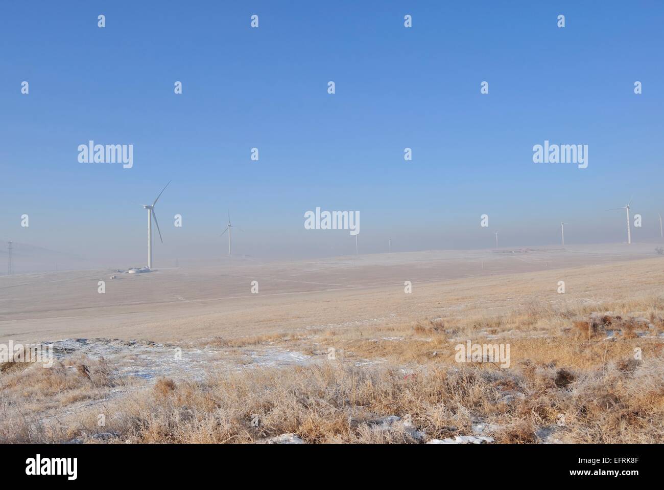 Fans de manzhouli,Mongolie intérieure de la Chine. Banque D'Images