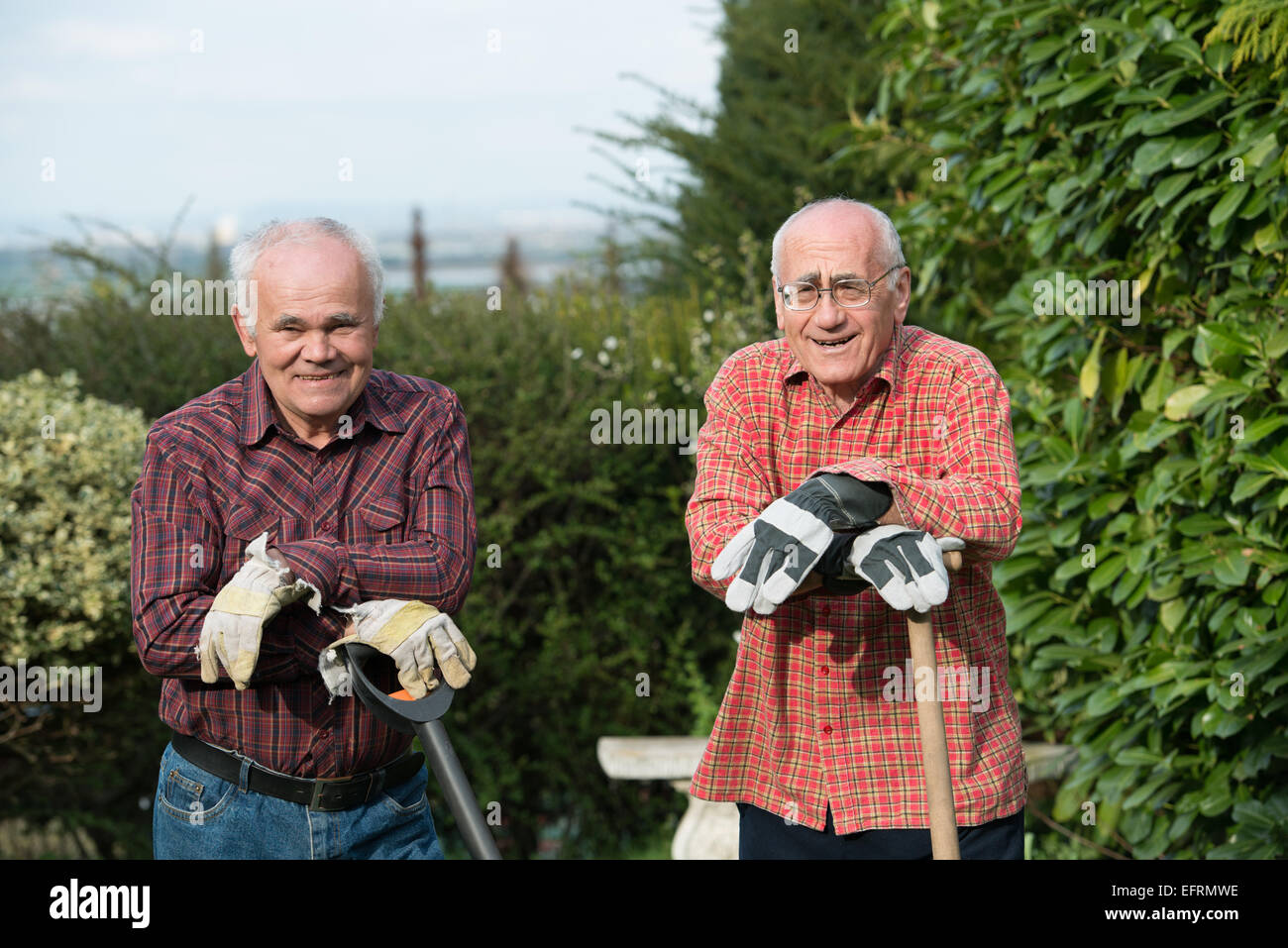 Deux hauts jardinier spades standing in garden Banque D'Images