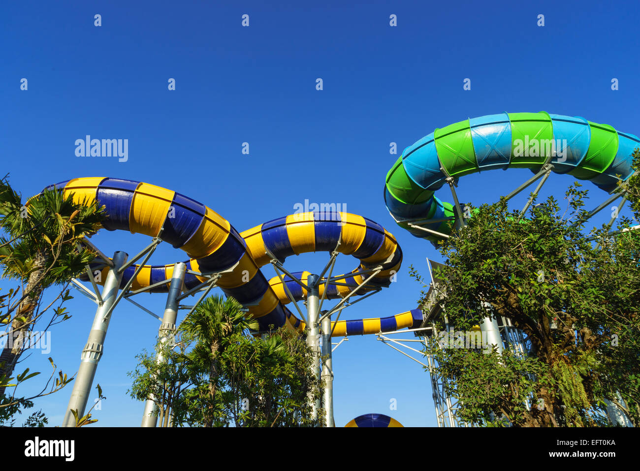 Jungle énorme tube coulisse dans l'Eau water theme park regarder sortir et sont parfaits attractions pour les jeunes et les adultes en vacances Banque D'Images