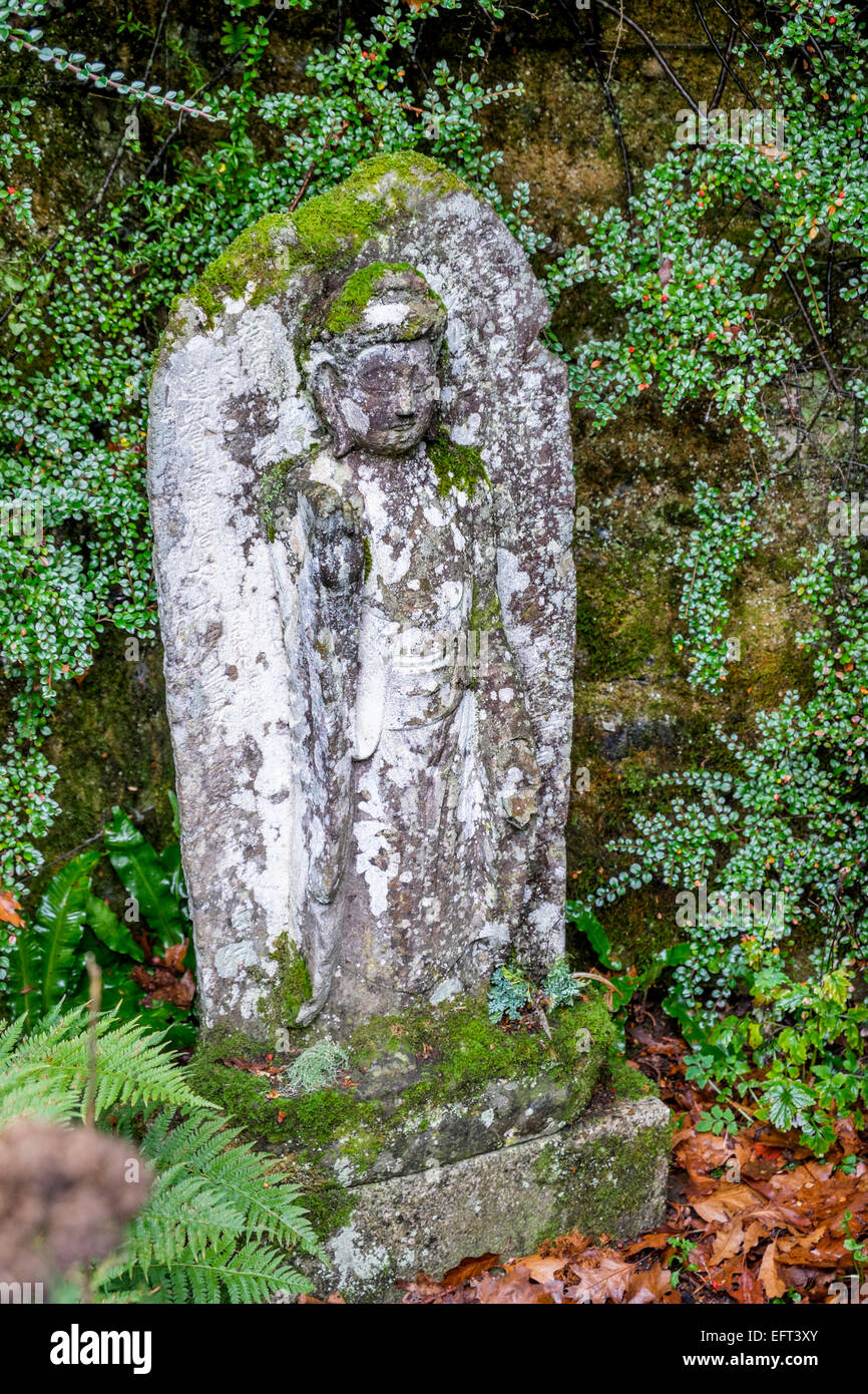 Une statue bouddhiste en pierre recouvert de lichen et de mousse dans un jardin dans le Devon Banque D'Images