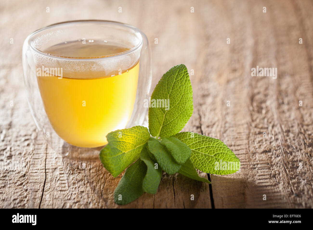 Thé de sauge de fines herbes avec des feuilles vertes en verre tasses Banque D'Images