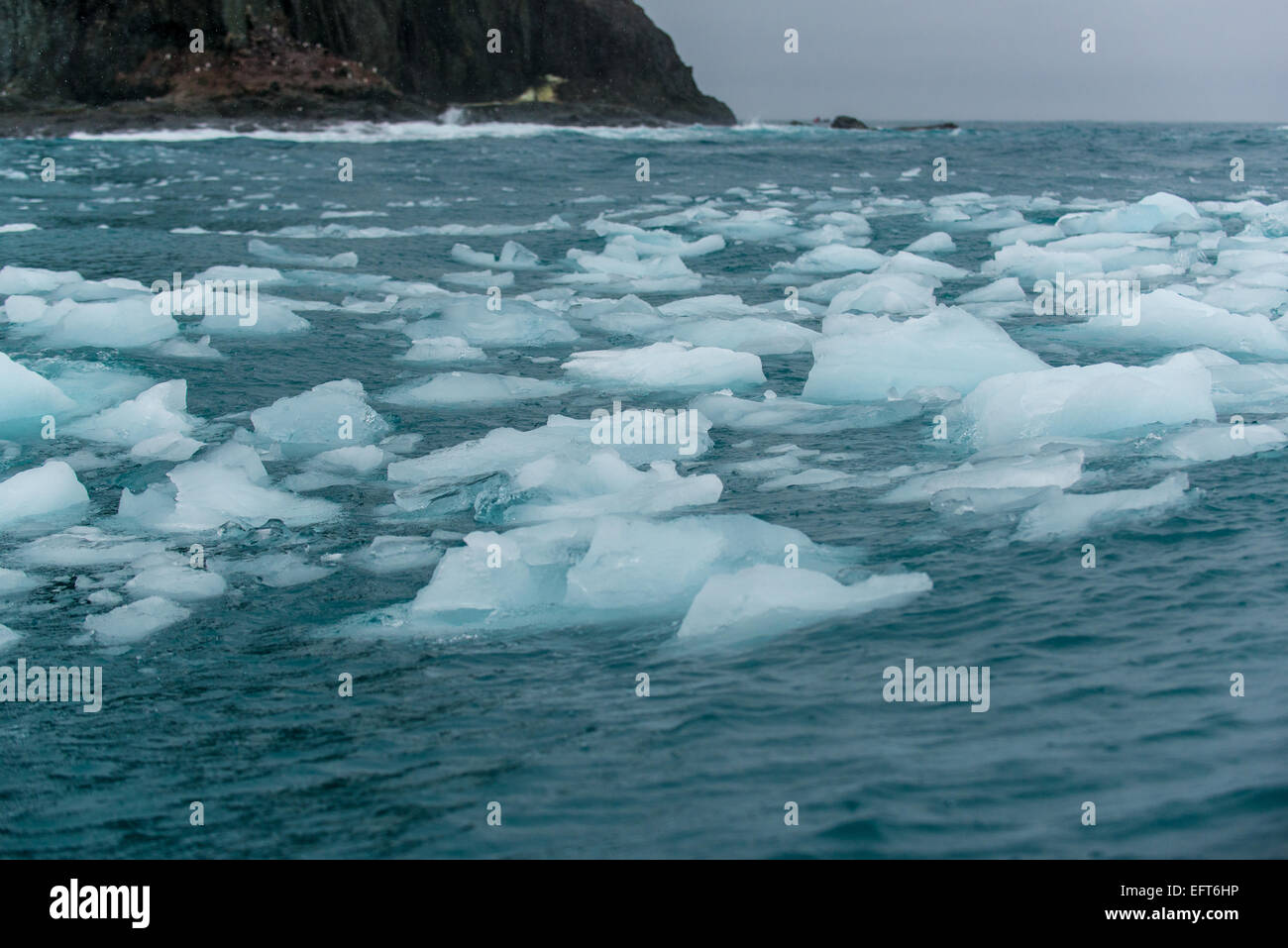 La glace flottant à point à l'état sauvage sur la côte nord de l'île de l'éléphant, dans les îles Shetland du Sud de l'Antarctique Banque D'Images
