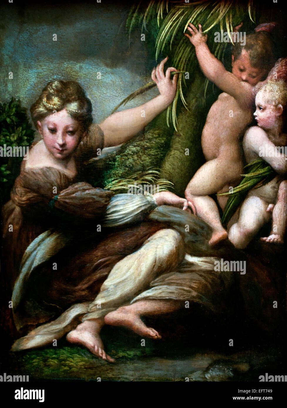 Martyr féminin avec des anges 1523 Girolamo Francesco Maria Mazzola (Parmigianino Francesco Mazzola , ) Italie Italien Banque D'Images
