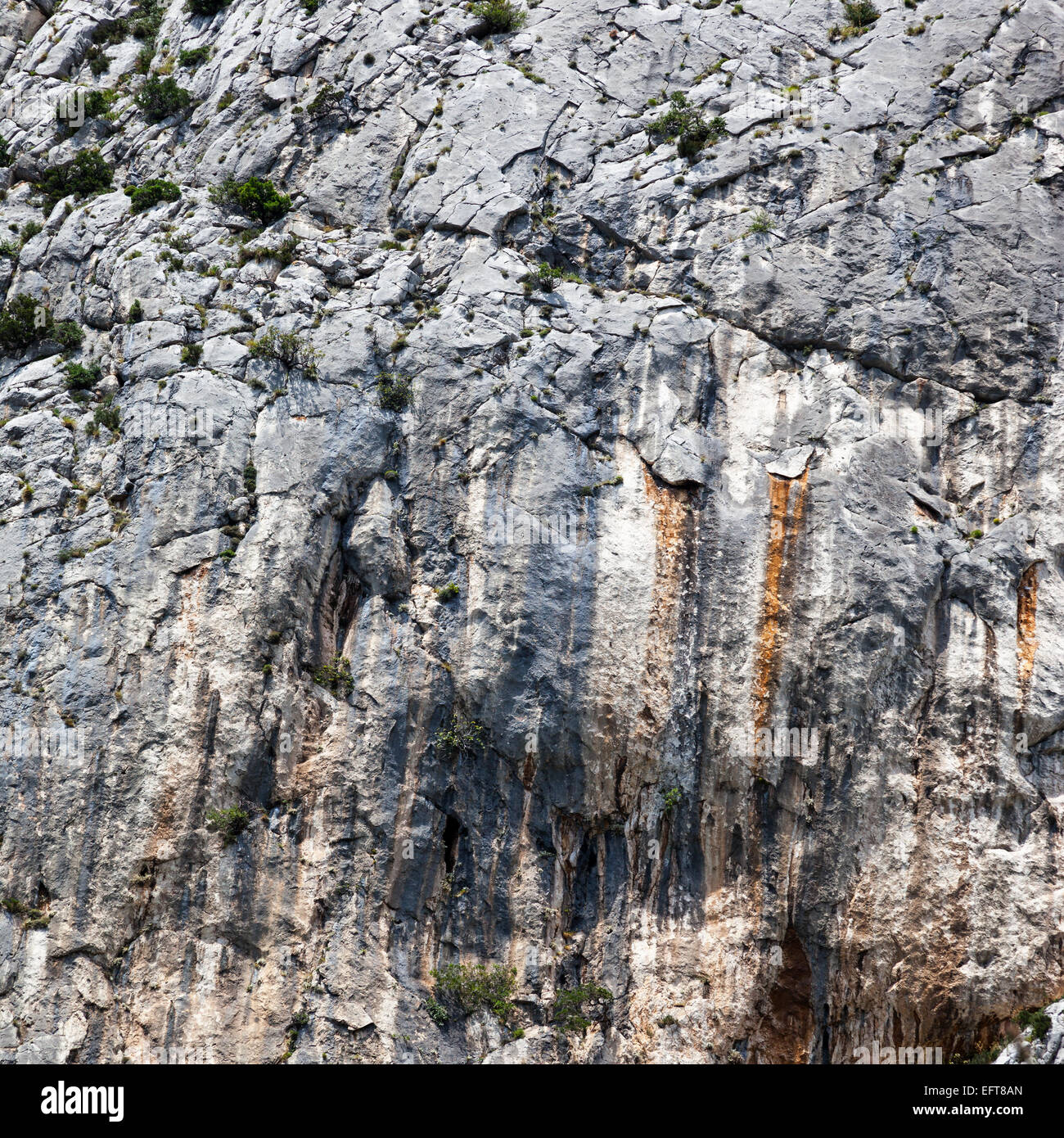 Détail de l'roughr rock ou stone texture background. Banque D'Images