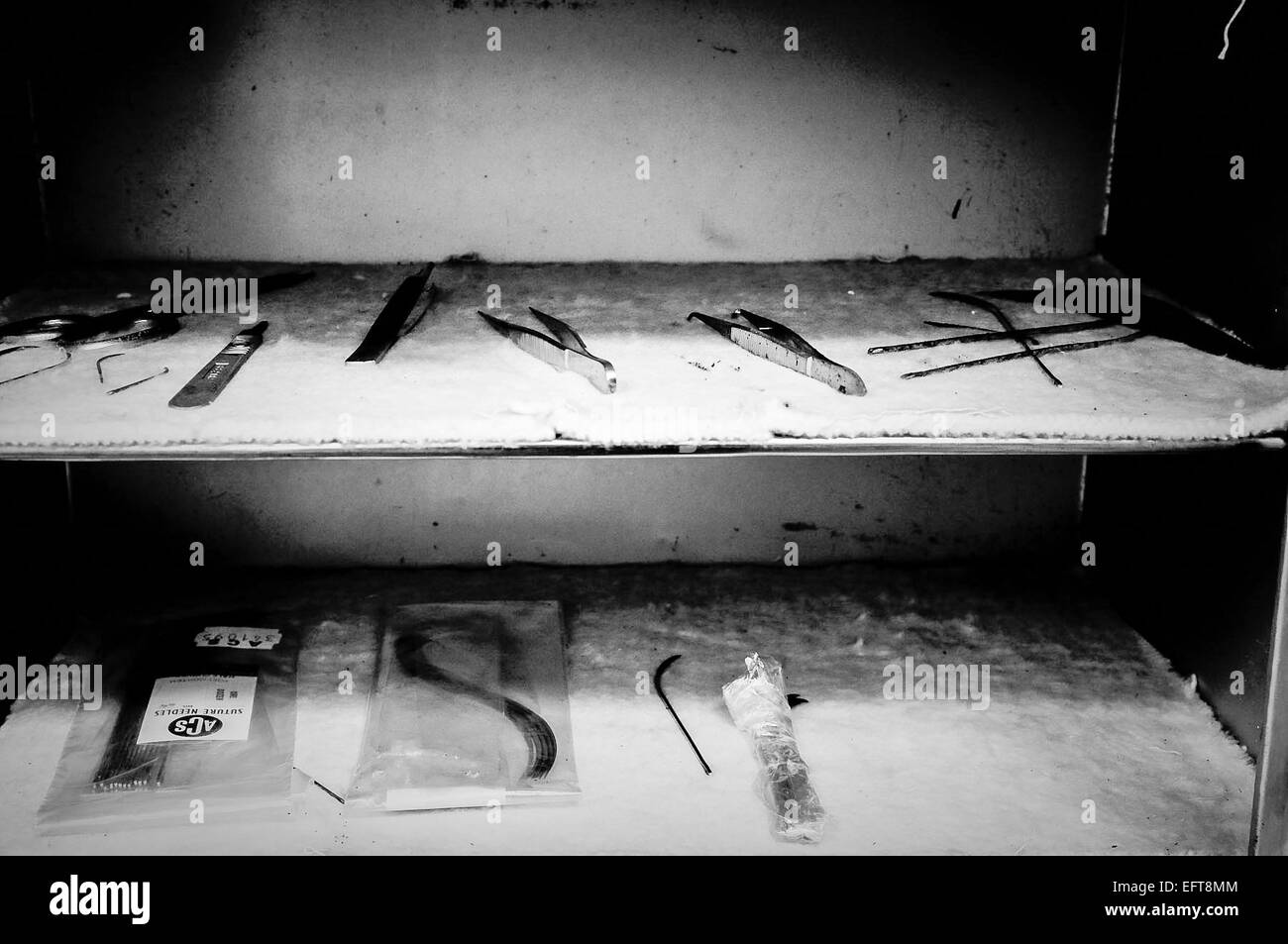 Pinces, aiguilles et scalpels dans une armoire dans une morgue. Banque D'Images Pinces, aiguilles et scalpels dans une armoire dans une morgue. Banque D'Images