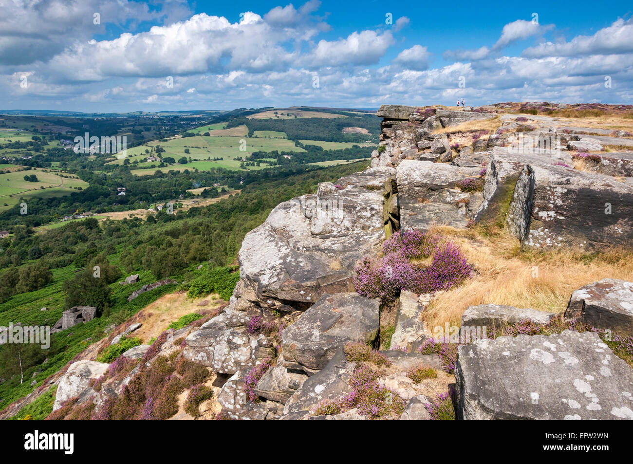 Peak District coloré paysage de bruyère et de graminées sur les bord Curbar sous le soleil d'été. Banque D'Images