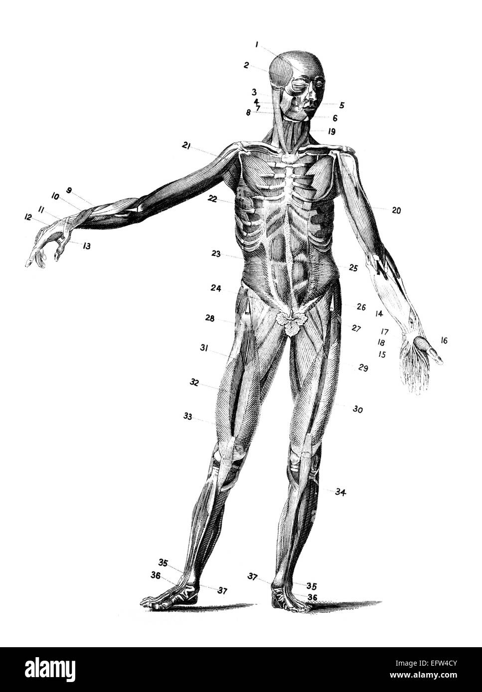 Photographié à partir d'un livre intitulé 'L'Encyclopédie Nationale', publié à Londres en 1881. Copyright a expiré sur cette oeuvre. Banque D'Images