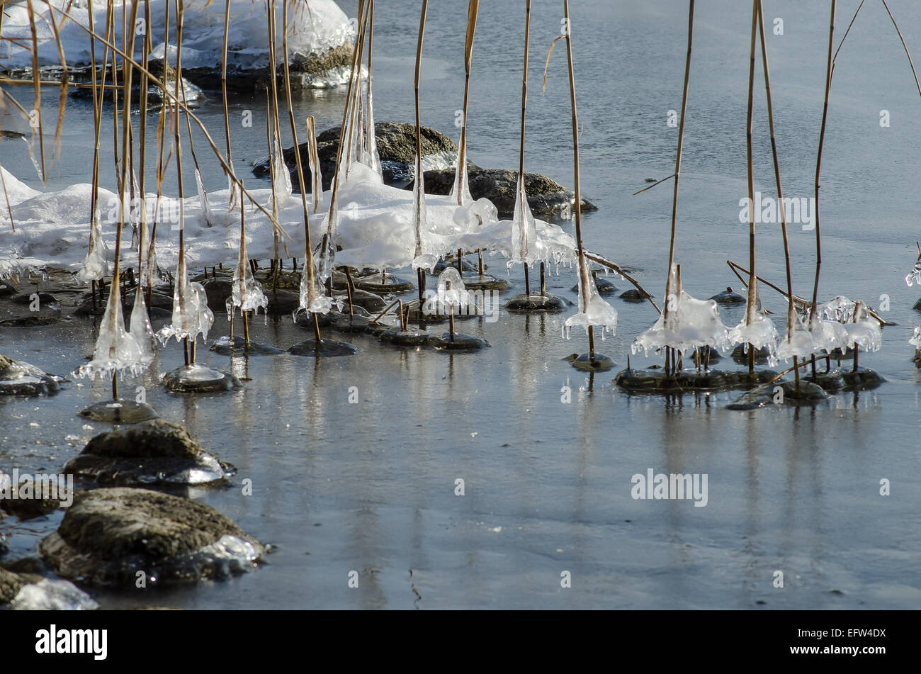 Les éclaboussures d'eau qui couperaient les tiges de roseau sur les rives du lac Tegernsee forment d'incroyables motifs de glace scintillants au soleil Banque D'Images