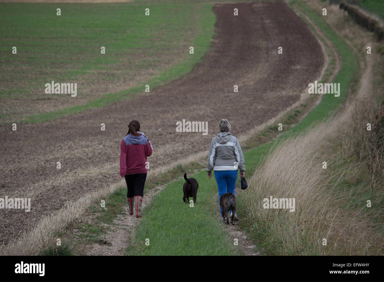 Deux femmes walking dogs down farm track Banque D'Images