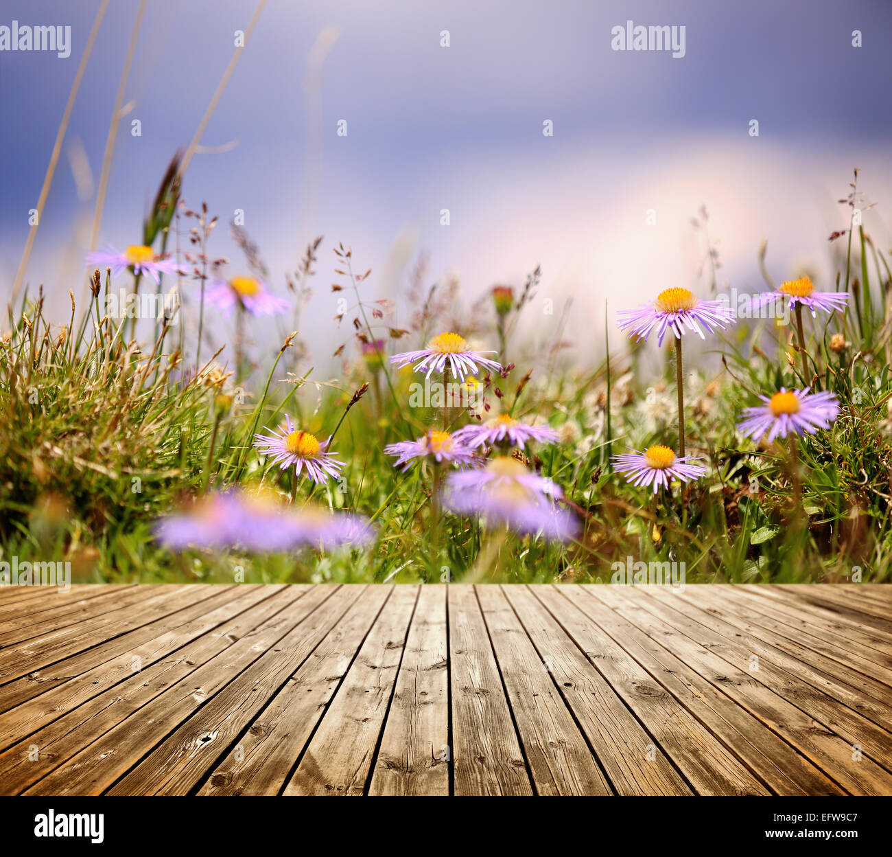 Fond de fleurs avec des planches Banque D'Images