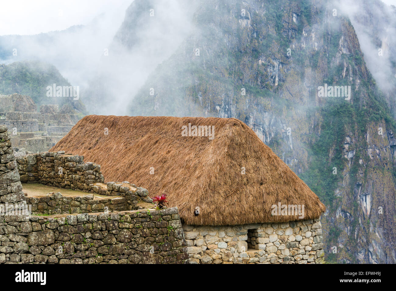 Toit de chaume et des brumes montagnes à Machu Picchu, Pérou Banque D'Images