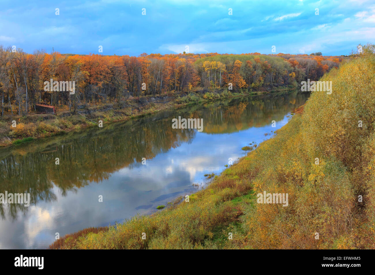 Dans le paysage de la rivière russe l'automne jaune woods Banque D'Images