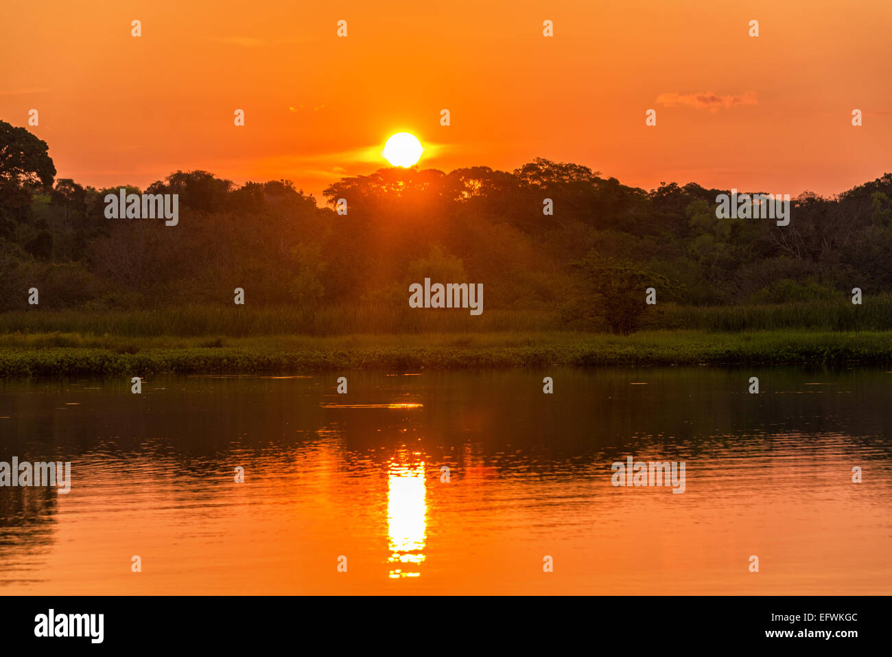 Orange et rouge coucher de soleil sur un lac dans le parc national de Madidi en Bolivie Banque D'Images