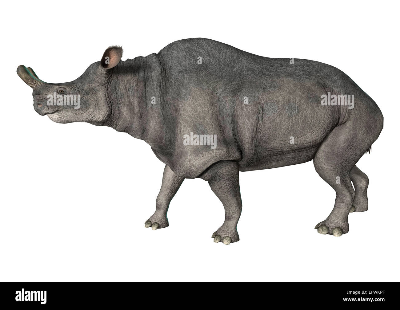 Numérique 3D render of a walking Brontotherium isolé sur fond blanc Banque D'Images