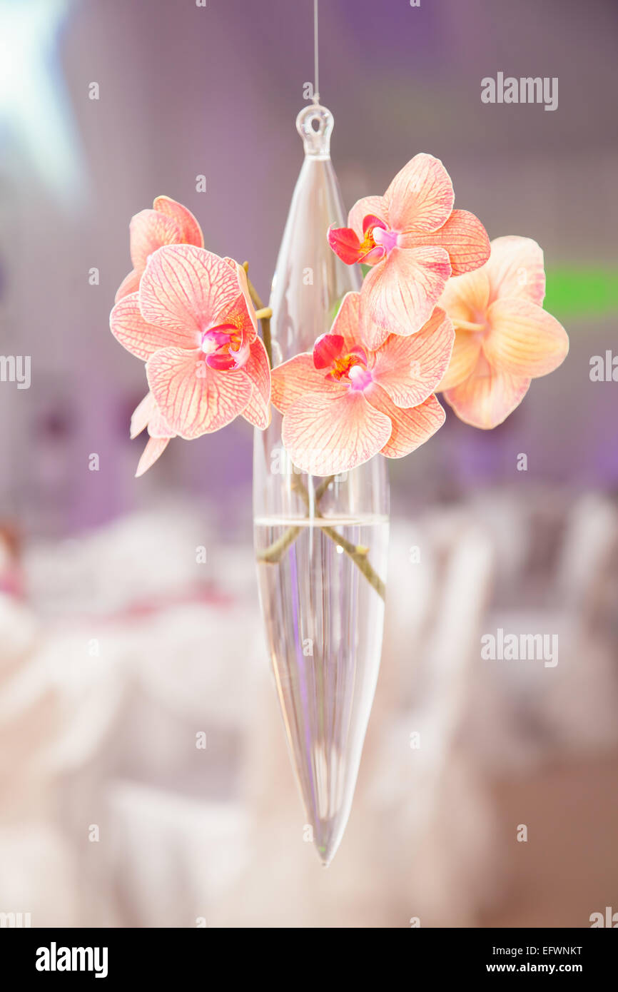Close up of colorful et fleurs orchidée mariage frais Banque D'Images