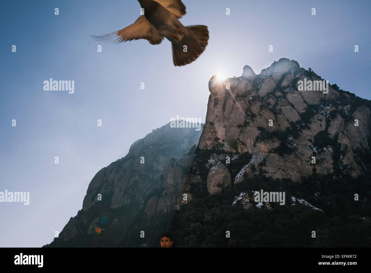 Pigeon volant au-dessus de Montserrat, en Catalogne Banque D'Images