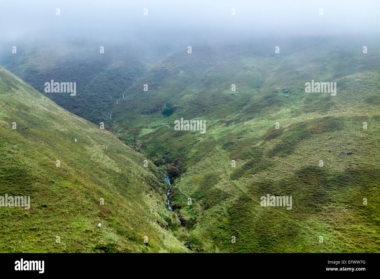 Brume sur la lande, Cloughs de colline sur le bord sud-ouest de Kinder scout dans le Derbyshire, parc national de Peak District, England, UK Banque D'Images