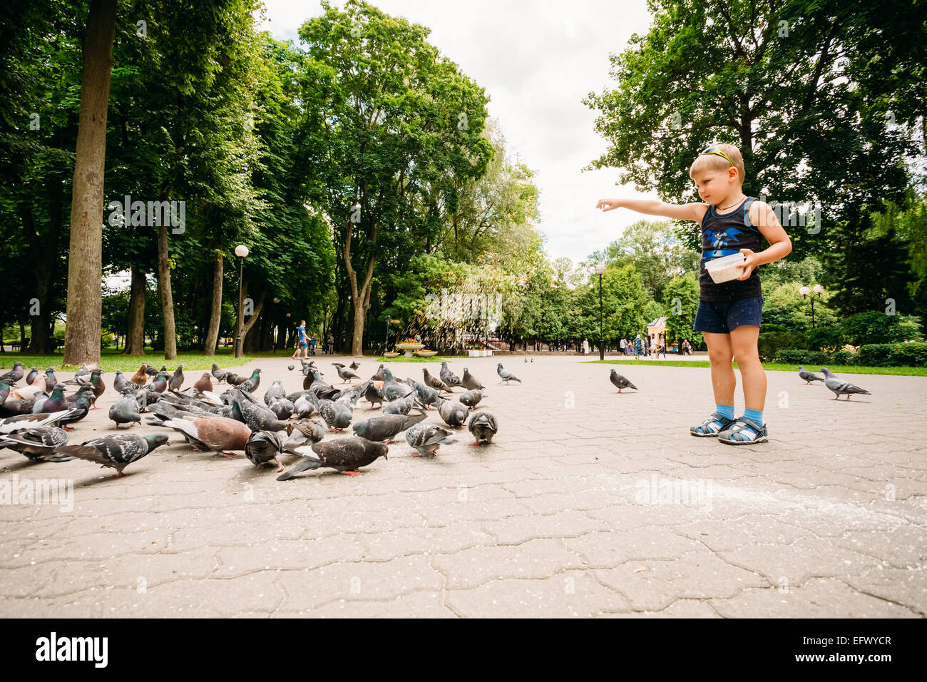 GOMEL, BÉLARUS - 6 juillet 2014 : Boy feeding pigeons oiseaux colombes dans city park Banque D'Images