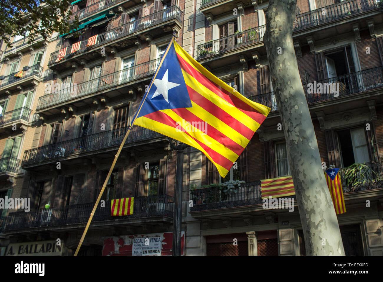 Drapeau de la Catalogne sur la strret de Barcelone lors de la Journée nationale de la Catalogne le 11 septembre 2014 à Barcelone, Espagne. Banque D'Images