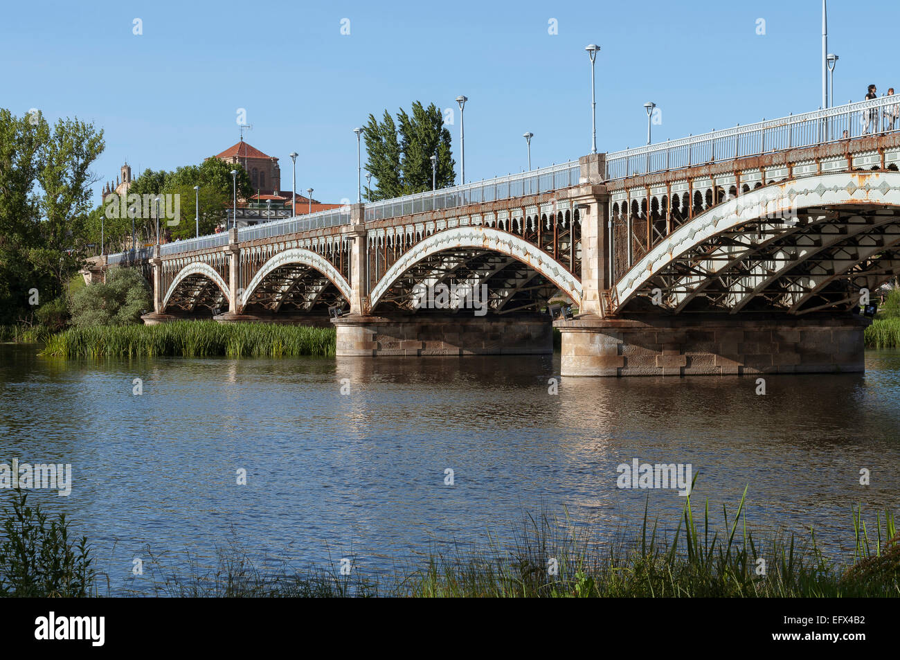 Pont de la rivière Tormes et Enrique Esteban à Salamanque, Castille et Leon, Espagne, Europe. Banque D'Images